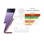 Carolina Herrera Bad Boy Dazzling Garden Perfume For Men 100ML - Image 3