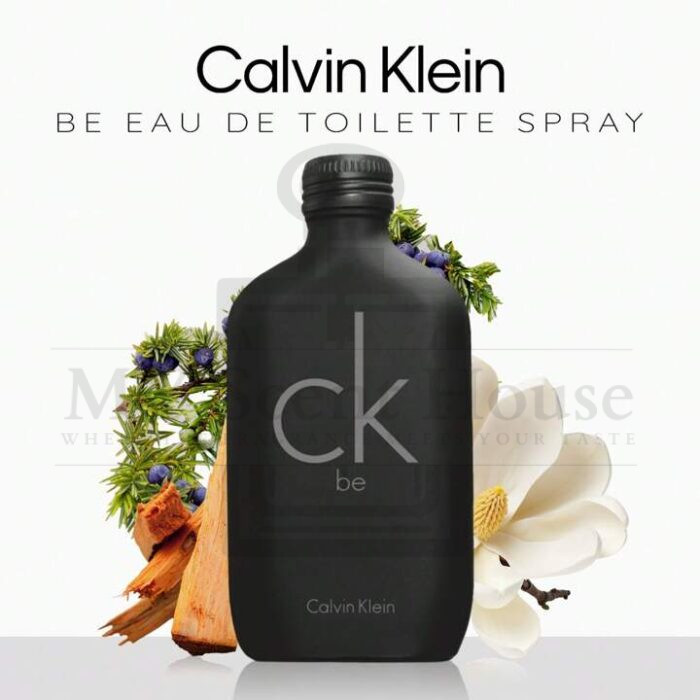 Calvin Klein CK Be Perfume For Men and Women 100ML - Image 2