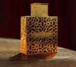 Rayhaan Elixir Perfume For Men and Women 100ML - Image 2